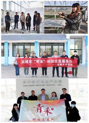 經(jīng)作室赴阜寧新溝鎮(zhèn)開展“青禾”科技志愿服務(wù)活動，助力鹽城農(nóng)業(yè)推廣服務(wù)